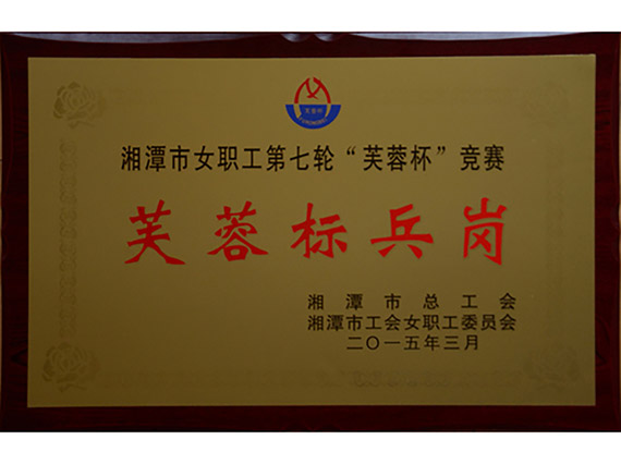 熱烈祝賀【韶山恒旺】榮獲“湘潭市芙蓉標兵崗”稱號！