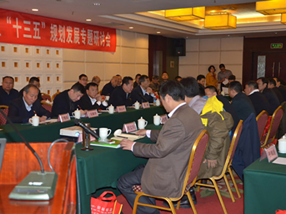 【湘潭恒欣】承辦“國家礦用單軌吊和架空乘人裝置‘十三五’規(guī)劃發(fā)展專題研討會”